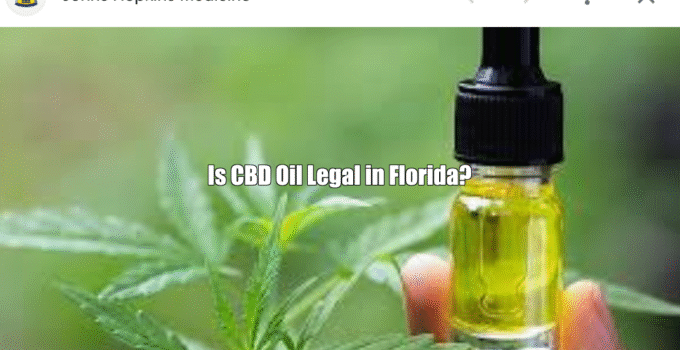 Is CBD Oil Legal in Florida?
